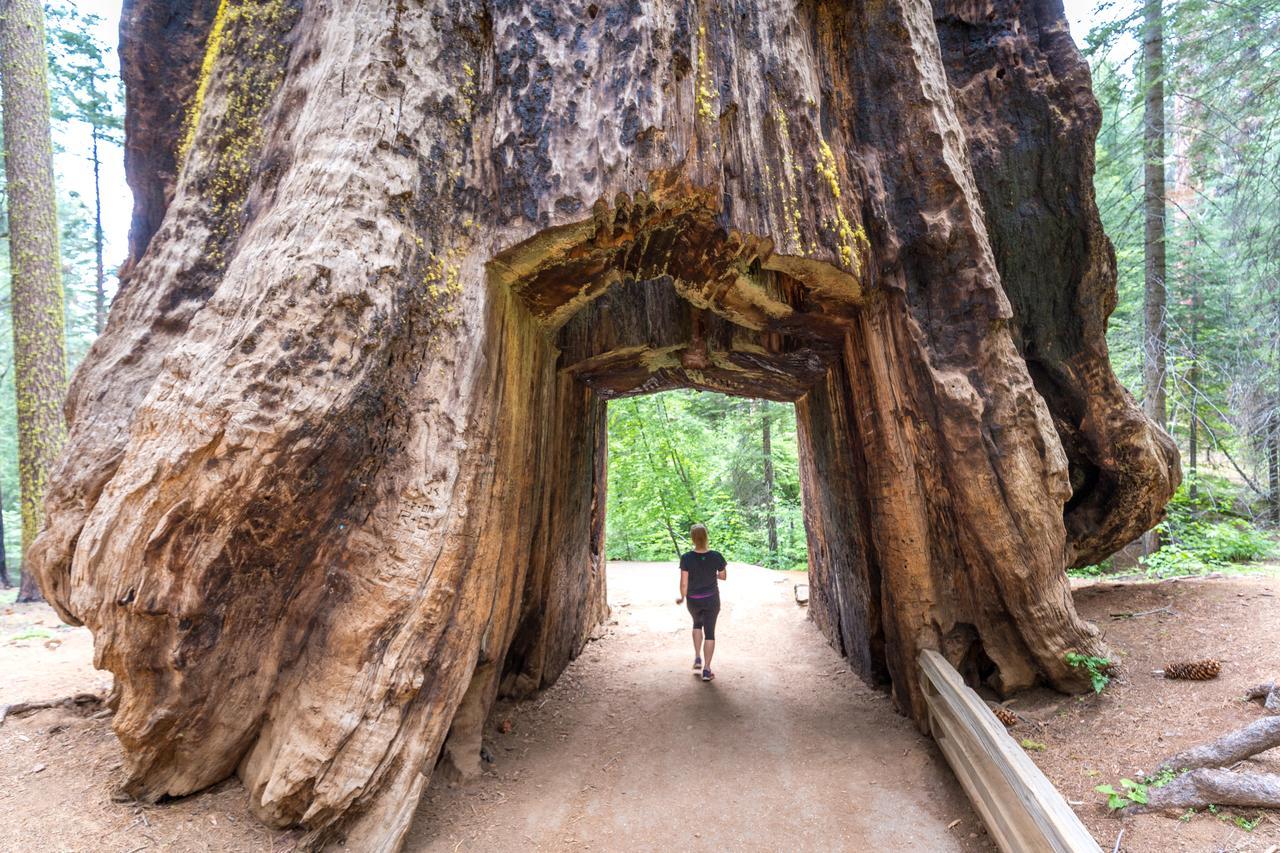Rush Creek Lodge At Yosemite Groveland Luaran gambar