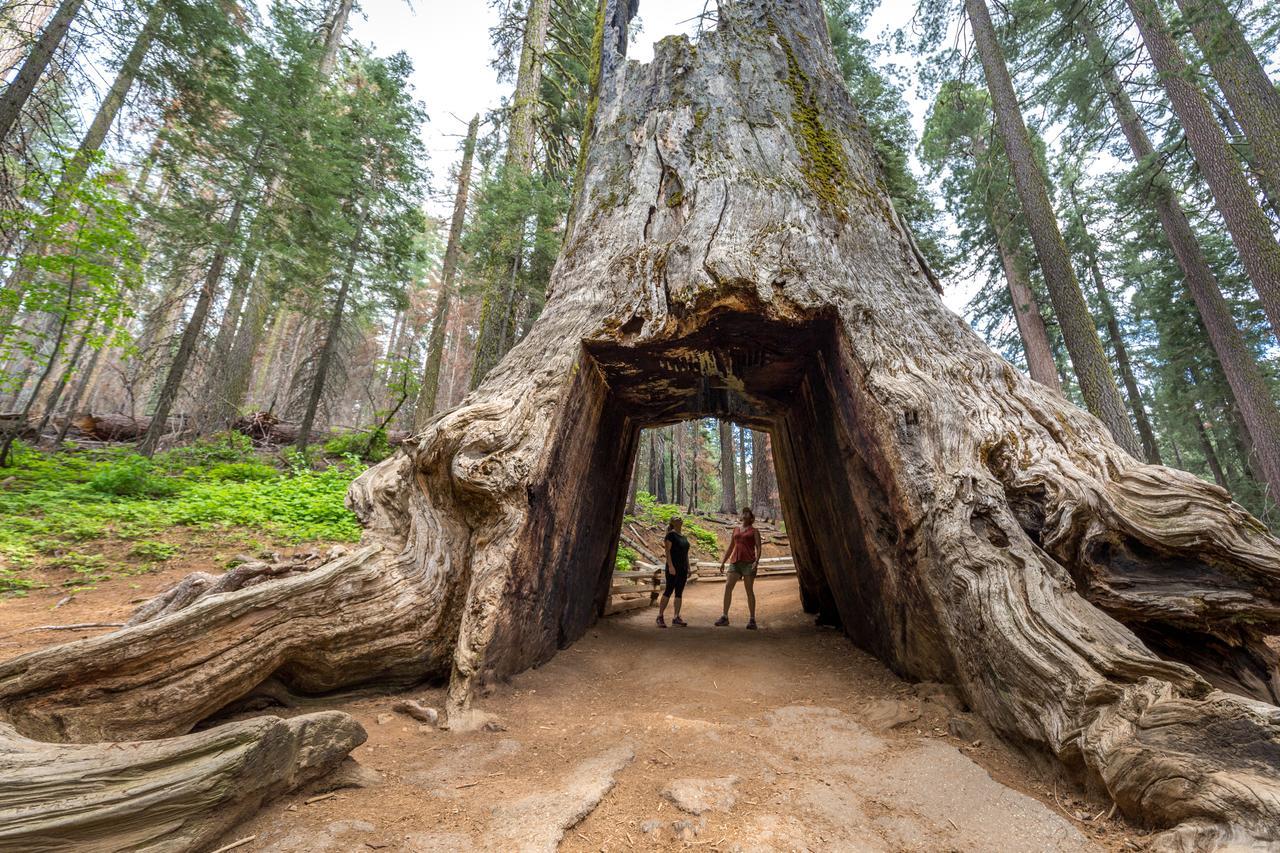 Rush Creek Lodge At Yosemite Groveland Luaran gambar
